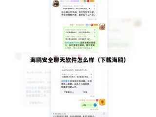 海鸥安全聊天软件怎么样（下载海鸥）