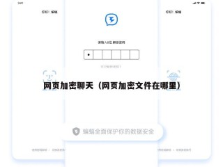 网页加密聊天（网页加密文件在哪里）
