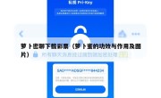 萝卜密聊下载彩票（萝卜蜜的功效与作用及图片）