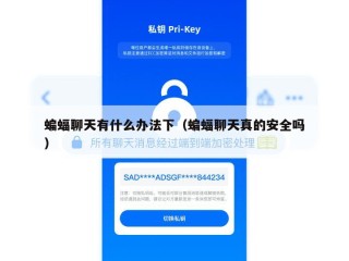 蝙蝠聊天有什么办法下（蝙蝠聊天真的安全吗）