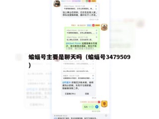 蝙蝠号主要是聊天吗（蝙蝠号3479509）