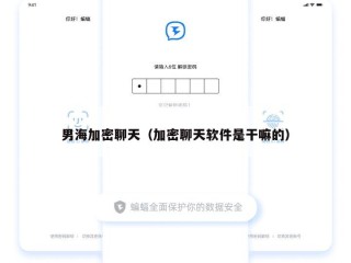 男海加密聊天（加密聊天软件是干嘛的）