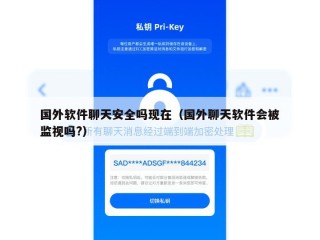 国外软件聊天安全吗现在（国外聊天软件会被监视吗?）