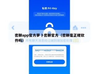 密聊app官方萝卜密聊官方（密聊是正规软件吗）