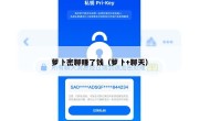 萝卜密聊赚了钱（萝卜+聊天）