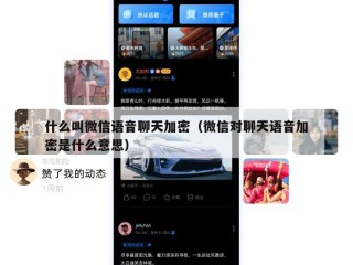 什么叫微信语音聊天加密（微信对聊天语音加密是什么意思）
