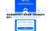 黑色蝙蝠聊天软件下载苹果版（黑色蝙蝠背景图片）