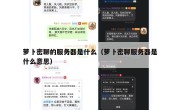 萝卜密聊的服务器是什么（萝卜密聊服务器是什么意思）