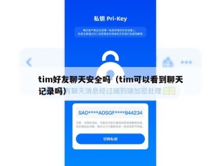 tim好友聊天安全吗（tim可以看到聊天记录吗）