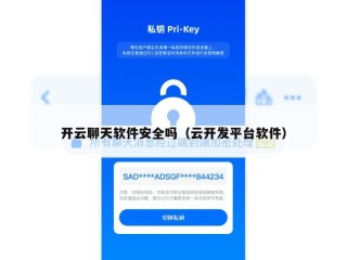 开云聊天软件安全吗（云开发平台软件）