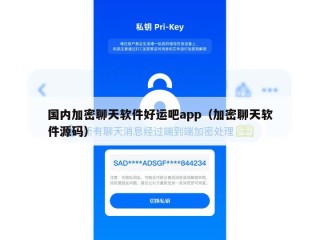 国内加密聊天软件好运吧app（加密聊天软件源码）