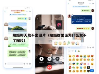 蝙蝠聊天发不出图片（蝙蝠群里面为什么发不了图片）