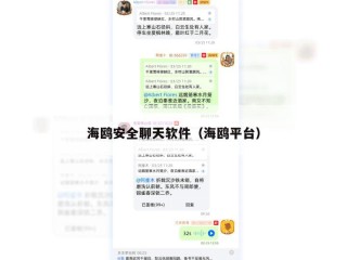 海鸥安全聊天软件（海鸥平台）