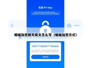 蝙蝠加密聊天英文怎么写（蝙蝠加密方式）