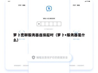 萝卜密聊服务器连接超时（萝卜+服务器是什么）