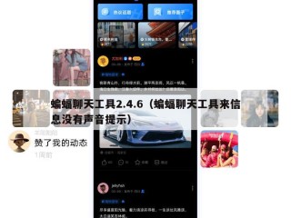 蝙蝠聊天工具2.4.6（蝙蝠聊天工具来信息没有声音提示）