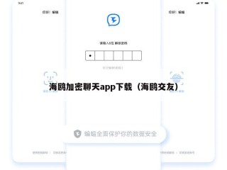 海鸥加密聊天app下载（海鸥交友）