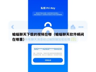 蝙蝠聊天下载的视频在哪（蝙蝠聊天软件瞬间在哪里）