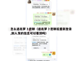 怎么退出萝卜密聊（退出萝卜密聊后重新登录,别人发的信息可以看到吗）