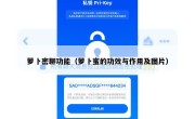 萝卜密聊功能（萝卜蜜的功效与作用及图片）