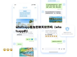 whatsapp是加密聊天软件吗（whatsapp的）
