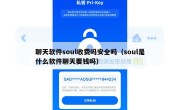 聊天软件soul收费吗安全吗（soul是什么软件聊天要钱吗）