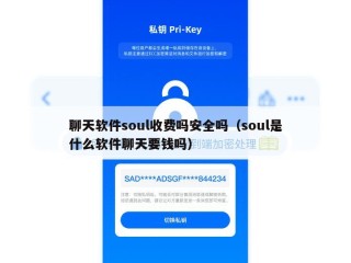 聊天软件soul收费吗安全吗（soul是什么软件聊天要钱吗）