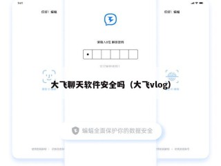 大飞聊天软件安全吗（大飞vlog）