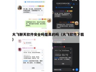 大飞聊天软件安全吗是真的吗（大飞软件下载）