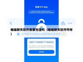 蝙蝠聊天软件需要充值吗（蝙蝠聊天软件咋样）