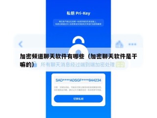 加密频道聊天软件有哪些（加密聊天软件是干嘛的）