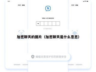 加密聊天的图片（加密聊天是什么意思）