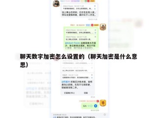 聊天数字加密怎么设置的（聊天加密是什么意思）