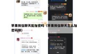 苹果微信聊天能加密吗（苹果微信聊天怎么加密码锁）