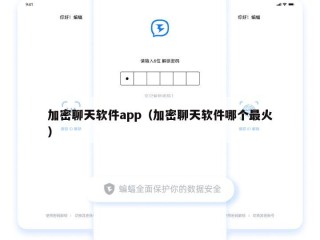 加密聊天软件app（加密聊天软件哪个最火）