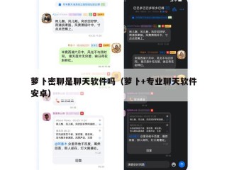 萝卜密聊是聊天软件吗（萝卜+专业聊天软件安卓）