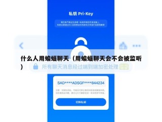 什么人用蝙蝠聊天（用蝙蝠聊天会不会被监听）