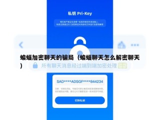 蝙蝠加密聊天的骗局（蝙蝠聊天怎么解密聊天）