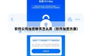软件公司加密聊天怎么弄（软件加密方案）