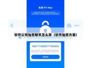 软件公司加密聊天怎么弄（软件加密方案）