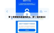 萝卜密聊赚钱是骗钱的么（萝卜蜜的做法）