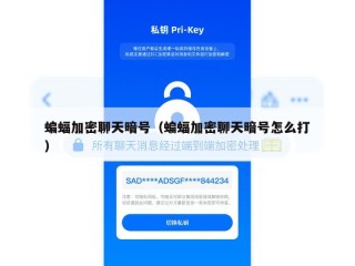 蝙蝠加密聊天暗号（蝙蝠加密聊天暗号怎么打）