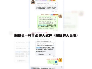 蝙蝠是一种什么聊天软件（蝙蝠聊天是啥）