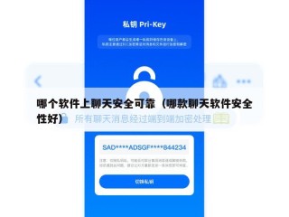 哪个软件上聊天安全可靠（哪款聊天软件安全性好）