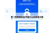 萝卜密聊里的永亨是什么的简单介绍