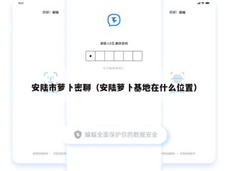 安陆市萝卜密聊（安陆萝卜基地在什么位置）