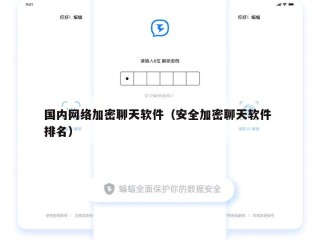 国内网络加密聊天软件（安全加密聊天软件 排名）