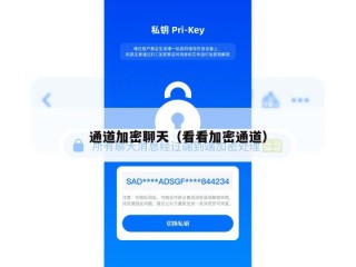 通道加密聊天（看看加密通道）