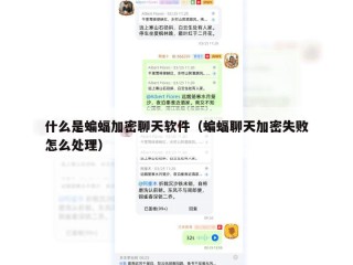 什么是蝙蝠加密聊天软件（蝙蝠聊天加密失败怎么处理）