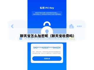 聊天宝怎么加密呢（聊天宝收费吗）